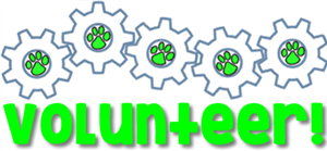 volunteer 